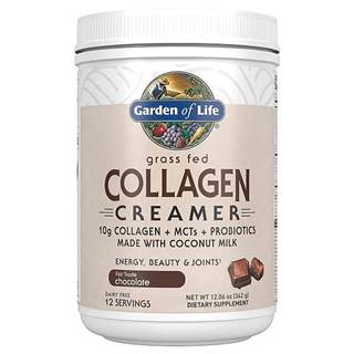 Garden of Life Collagen Creamer - Čokoláda 342g.