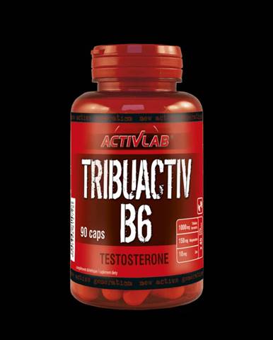 ActivLab Tribuactiv B6 90 kaps.
