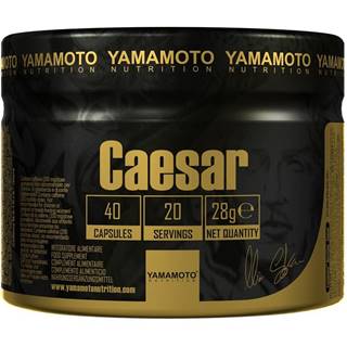 Caesar (Super kombinácia 3 adaptogénov) - Yamamoto 40 kaps.