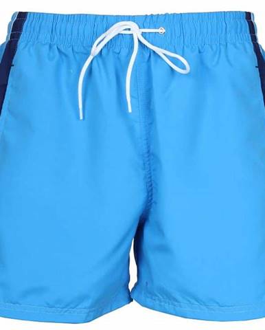 Henry pánské plavecké šortky modrá-modrá Velikost oblečení: XL