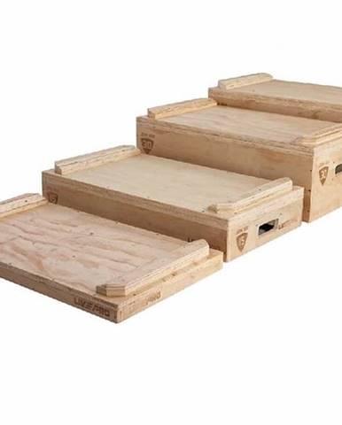 Dřevěné PLYO-bloky na cvičení LivePro LP8816