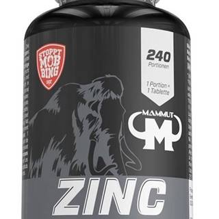 Zinc Tabs - Mammut Nutrition 240 tbl.